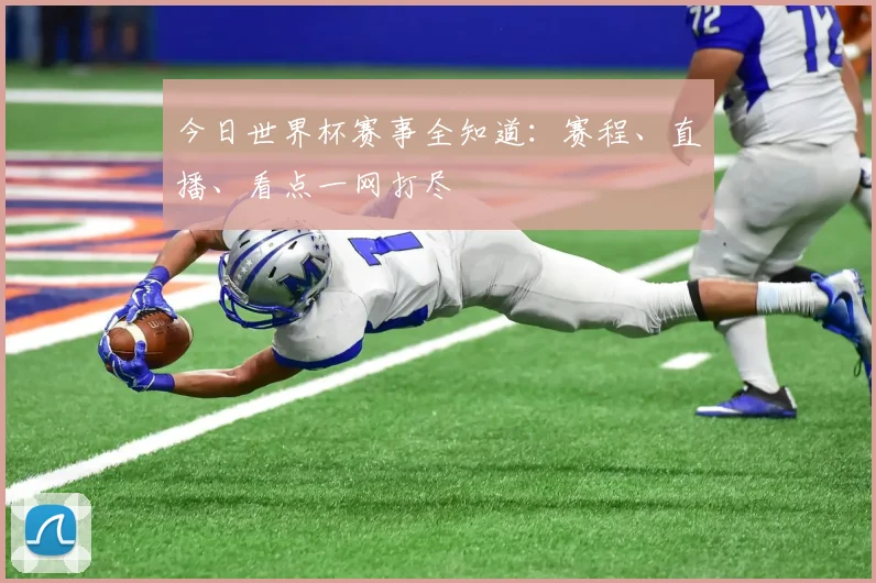 今日世界杯赛事全知道：赛程、直播、看点一网打尽