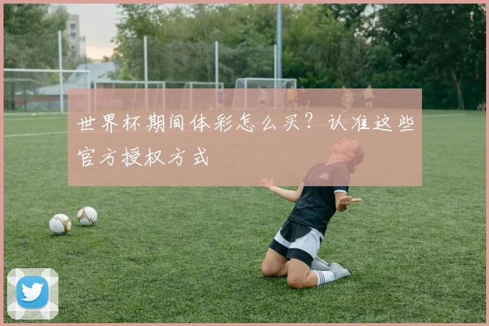 世界杯期间体彩怎么买？认准这些官方授权方式