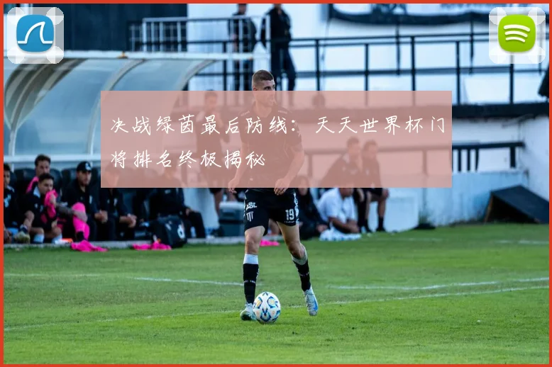 决战绿茵最后防线：天天世界杯门将排名终极揭秘