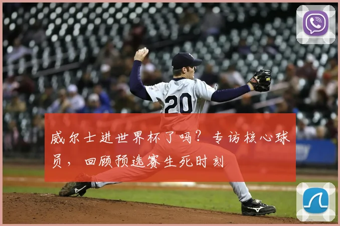威尔士进世界杯了吗？专访核心球员，回顾预选赛生死时刻