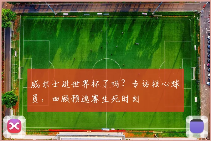 威尔士进世界杯了吗？专访核心球员，回顾预选赛生死时刻