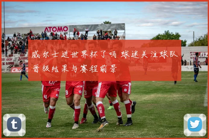 威尔士进世界杯了吗 球迷关注球队晋级结果与赛程前景