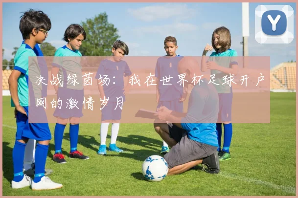决战绿茵场：我在世界杯足球开户网的激情岁月