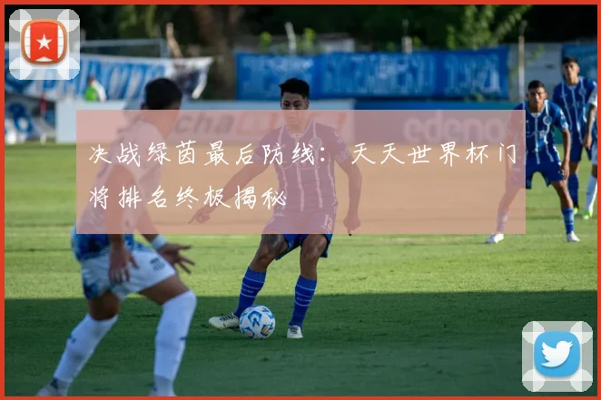 决战绿茵最后防线：天天世界杯门将排名终极揭秘