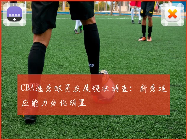 CBA选秀球员发展现状调查：新秀适应能力分化明显