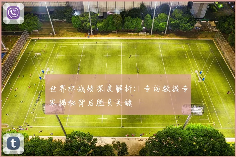 世界杯战绩深度解析：专访数据专家揭秘背后胜负关键