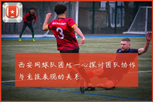 西安网球队团结一心探讨团队协作与竞技表现的关系