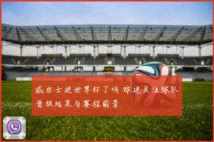 威尔士进世界杯了吗 球迷关注球队晋级结果与赛程前景