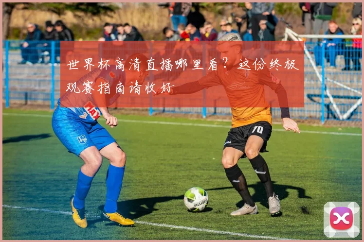 世界杯高清直播哪里看？这份终极观赛指南请收好